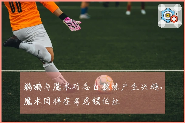 鹈鹕与魔术对各自教练产生兴趣，魔术同样在考虑锡伯杜