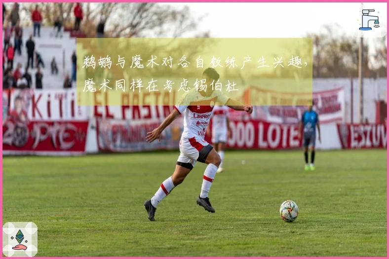 鹈鹕与魔术对各自教练产生兴趣，魔术同样在考虑锡伯杜