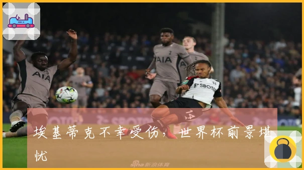 埃基蒂克不幸受伤，世界杯前景堪忧