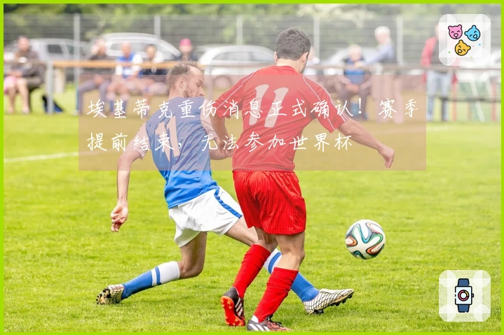 埃基蒂克重伤消息正式确认！赛季提前结束，无法参加世界杯