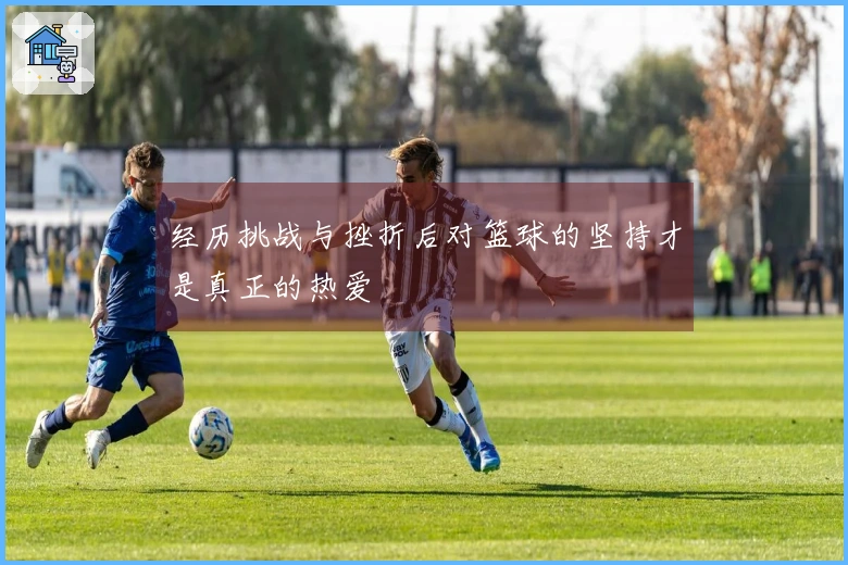 经历挑战与挫折后对篮球的坚持才是真正的热爱